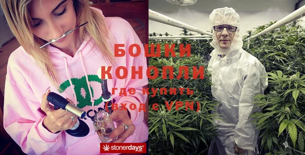 хмурый Валдай