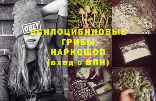 крисы Болотное
