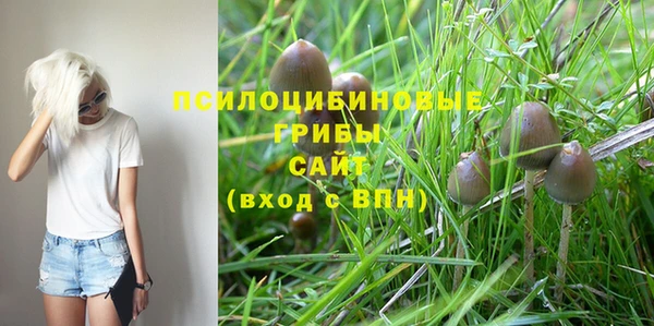 стаф Ессентукская