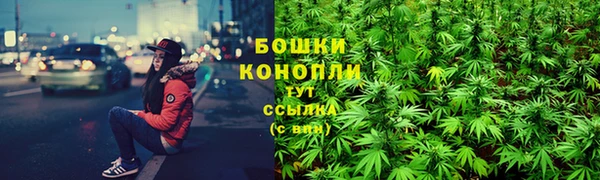 крисы Болотное