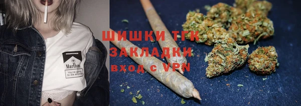 крисы Болотное