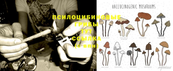 дмт Волоколамск