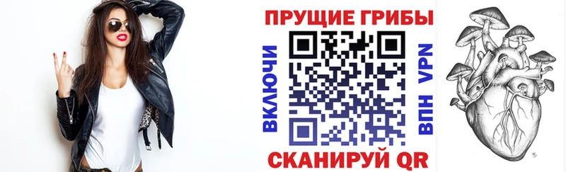 Псилоцибиновые грибы Cubensis  Баксан 