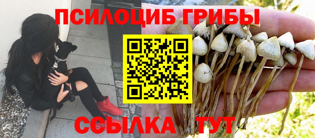 Галлюциногенные грибы ЛСД Баксан