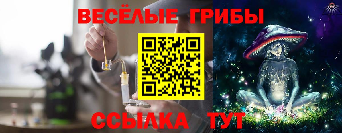 Галлюциногенные грибы мицелий  что такое   Баксан  Вход с VPN 