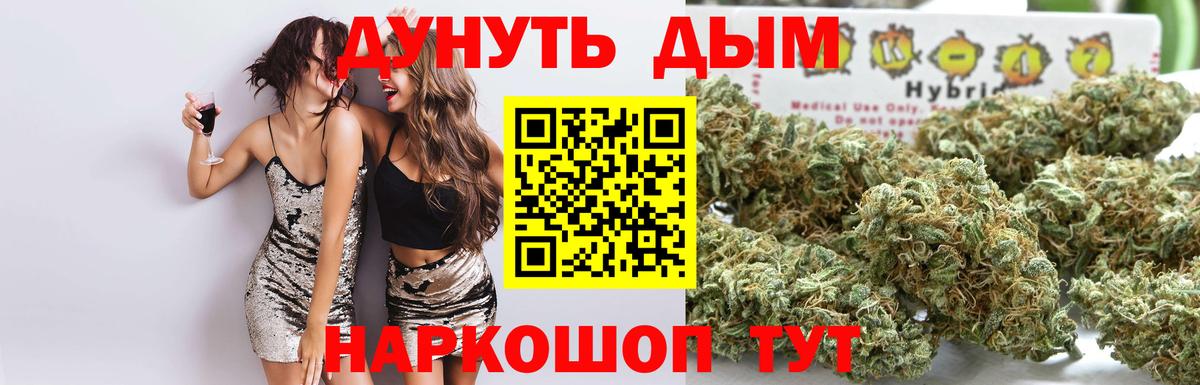 Конопля OG Kush Баксан