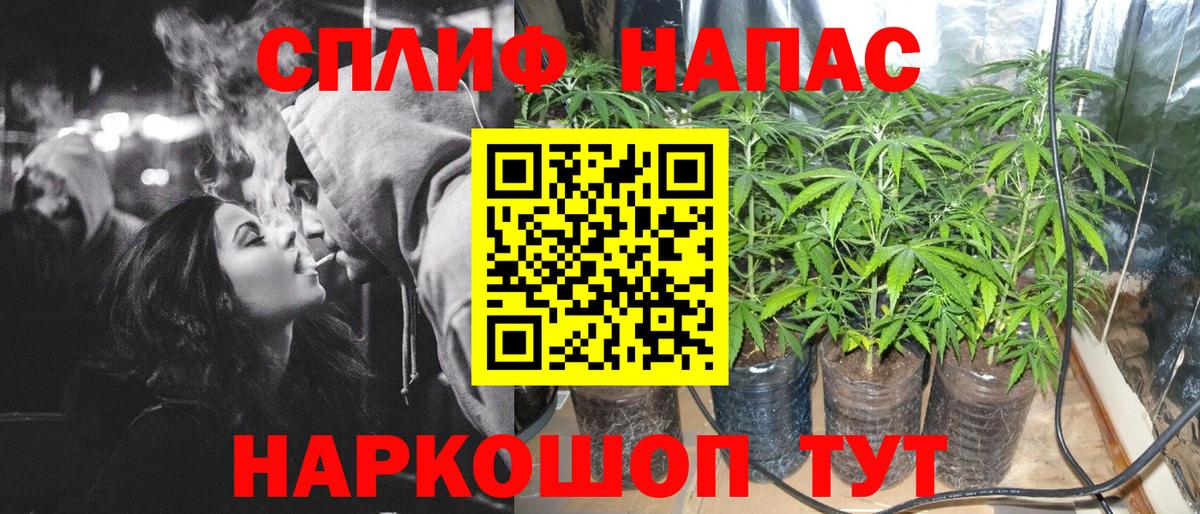 Канабис семена  Шишки марихуана MAZAR  Баксан  Бошки Шишки ГИДРОПОН  Вход с VPN 